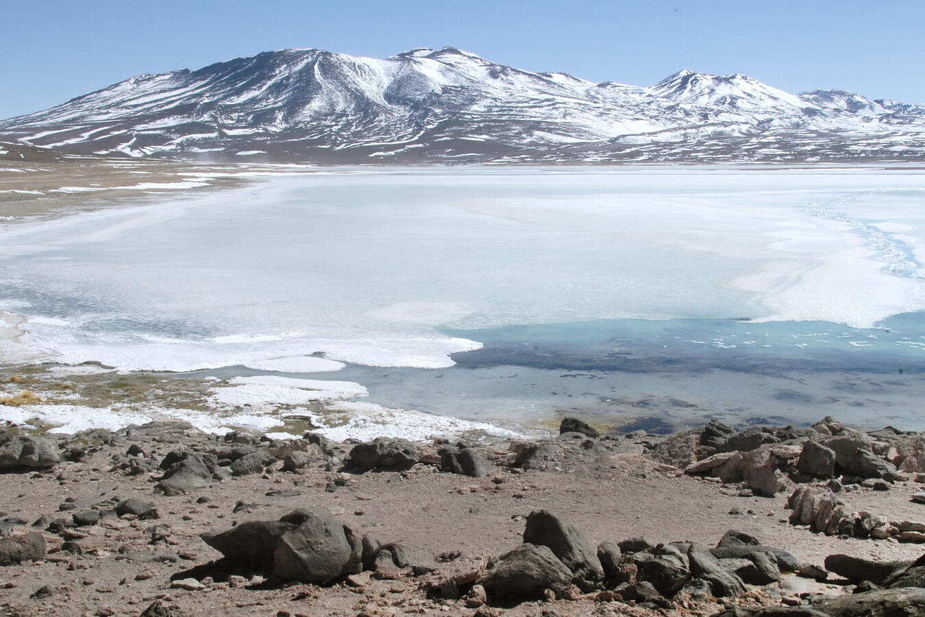 Andean plateau, Bolivia